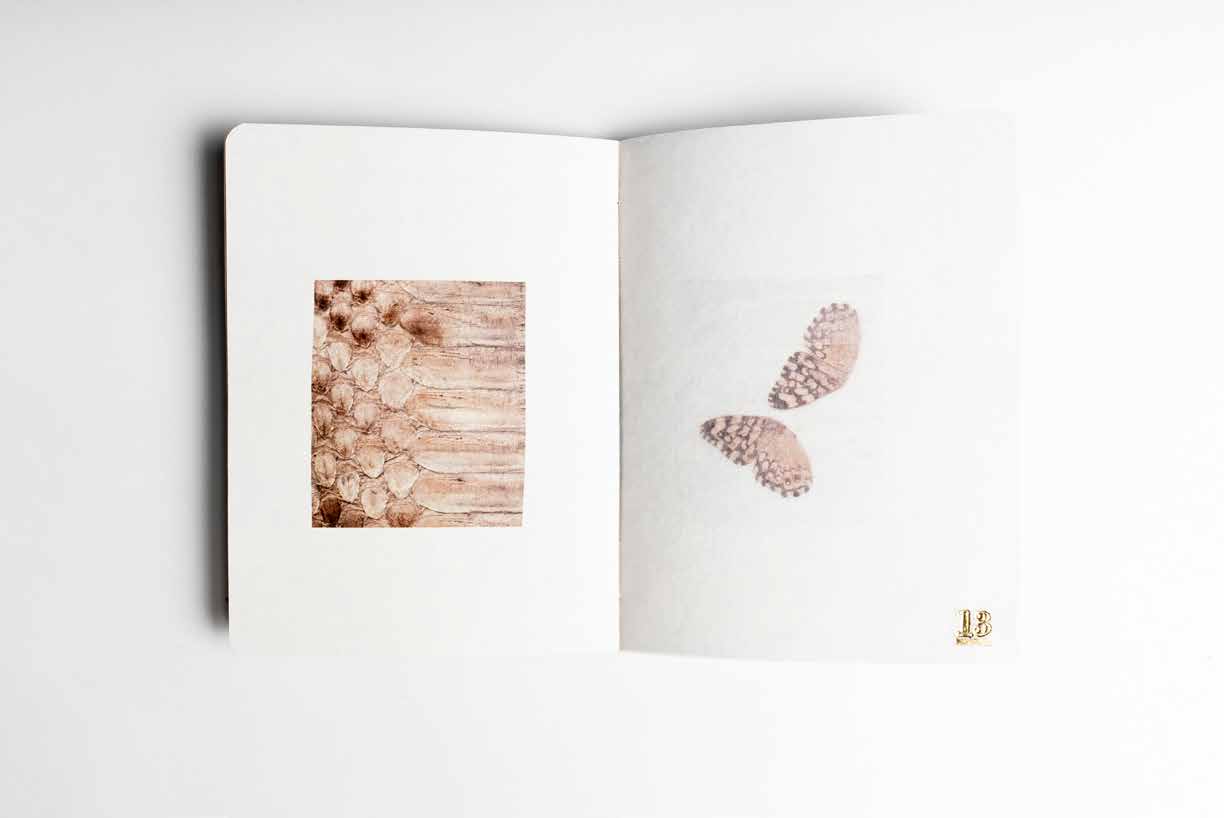 Piel del alma: Huella de una Krisis · libro de artista abierto