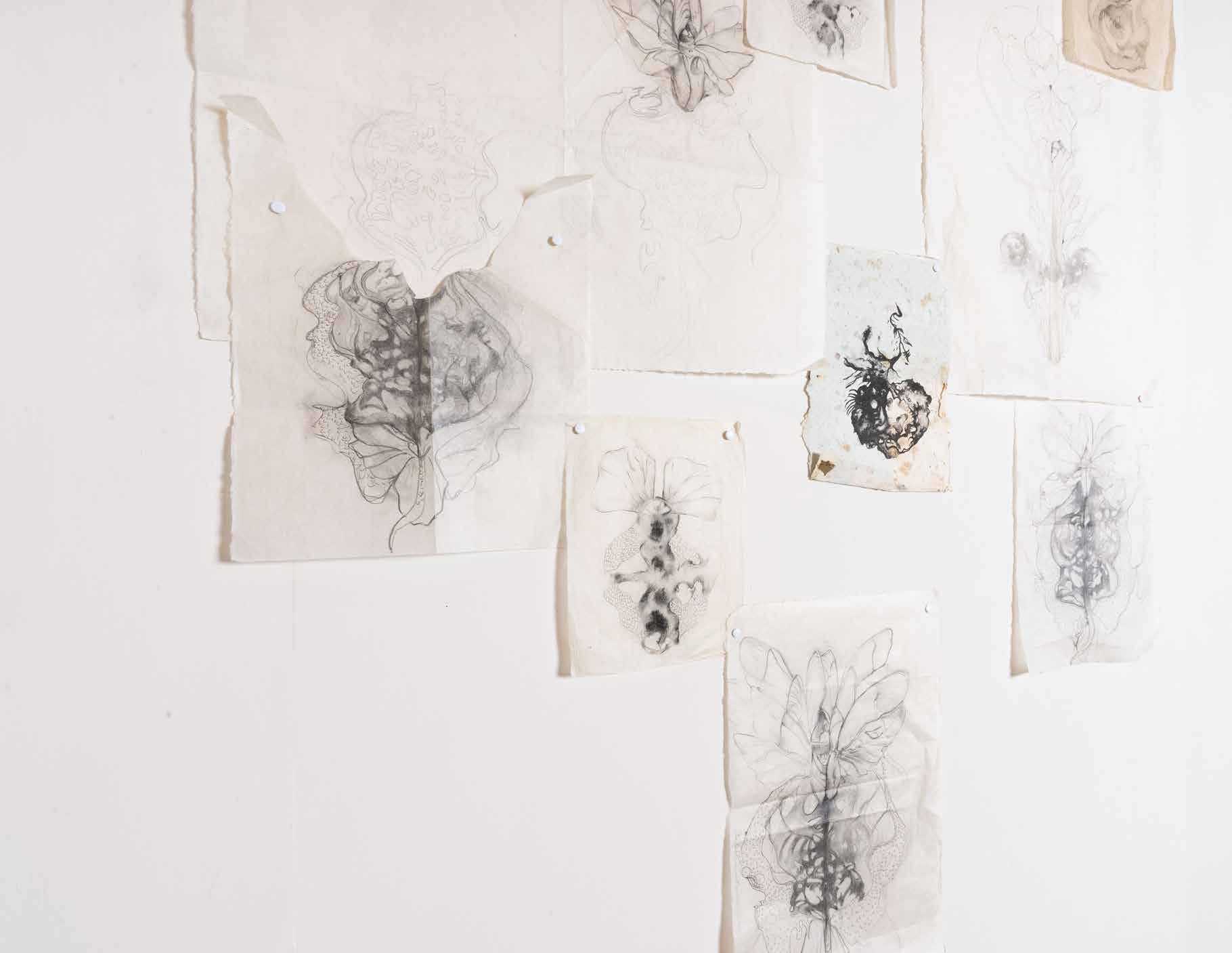 Piel del Alma · dibujos en papel albanene